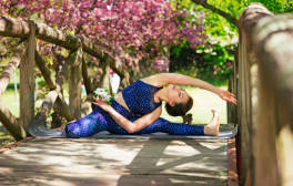 Gesundheitsberater Fernstudium