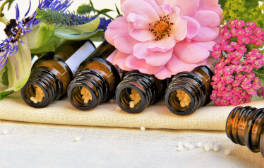 Heilpraktiker Fernstudium