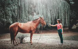 Tierpsychologie Fernstudium
